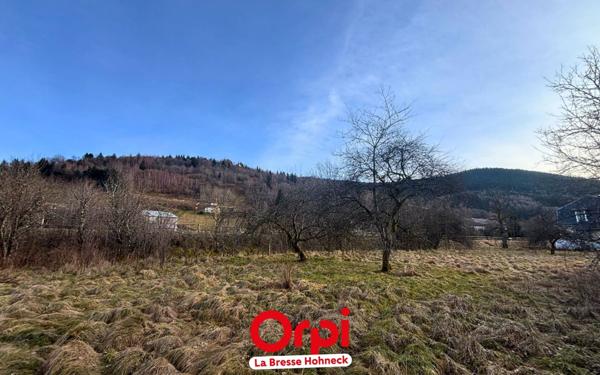 Terrain à vendre    Bussang