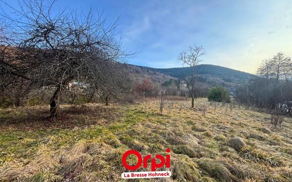 Terrain à vendre    Bussang