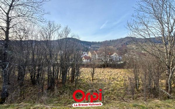 Terrain à vendre    Bussang