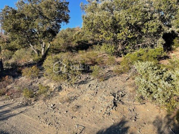 Terrain agricole de 6 500 m²