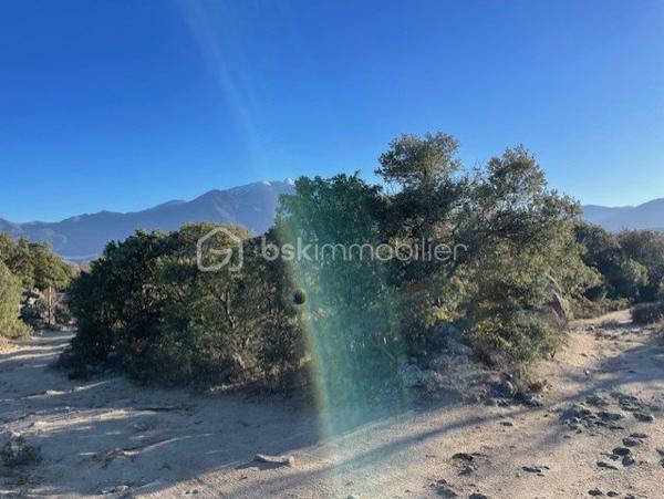 Terrain agricole de 6 500 m²