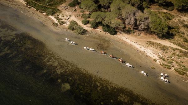 Bouches-du-Rhône (13) SAINTES MARIES DE LA MER (13460) à vendre fonds de commerce de Promenade à Cheval 10 000 m 2.