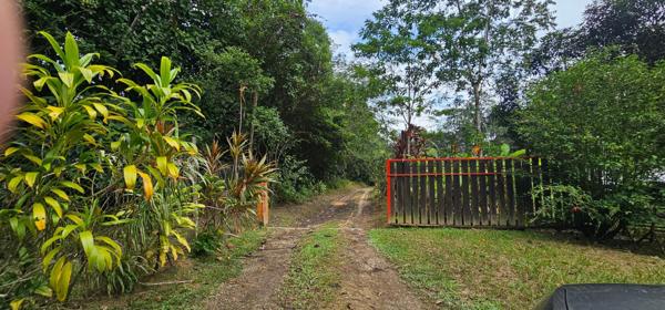 A VENDRE CHARMANTE MAISON T4  de PLAIN-PIED