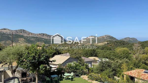 Appartement T3 - jardin et piscine privative. Barbaggio