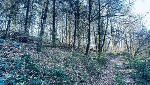 Achat - Terrain de loisirs, bois, étangs Guilligomarc'h 29300 104819 m 2
