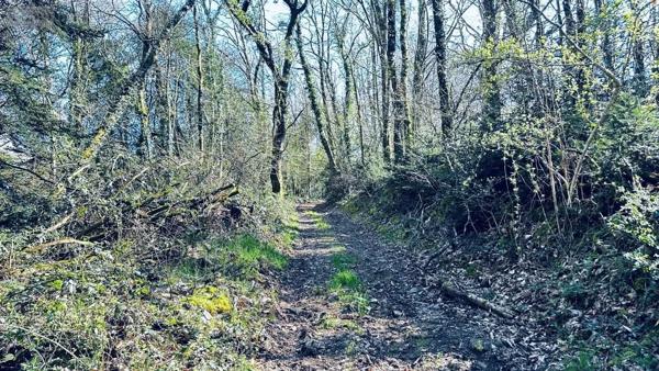 Achat - Terrain de loisirs, bois, étangs Guilligomarc'h 29300 104819 m 2
