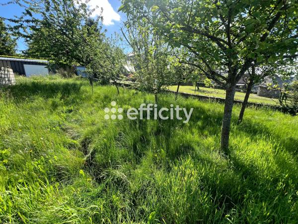 Terrain - 613 m² Exclusivité efficity