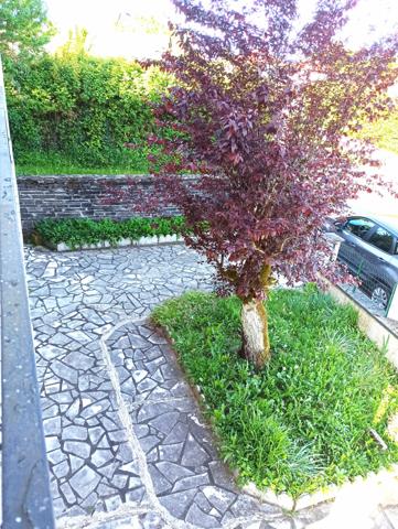 Maison 4 pièces - 116 m²