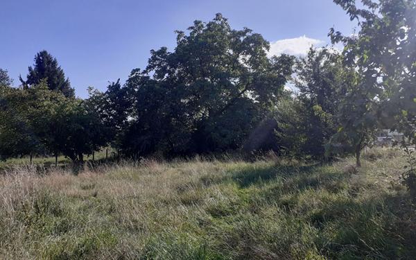 Maison à vendre    4 pièces •  Saulcy-sur-Meurthe