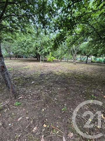 Terrain à vendre  1824 m 2   VIPLAIX  - 03