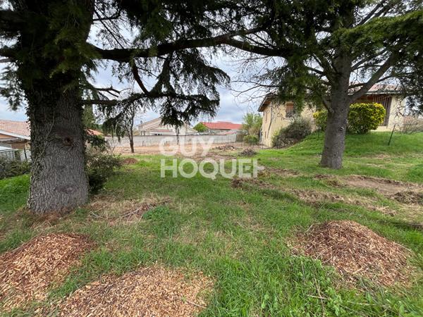 Terrain Chasse Sur Rhone 641 m2