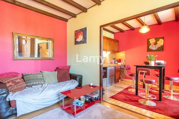 Appartement + cave + galetas