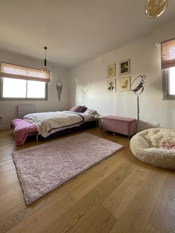 Appartement Lille - BUISSON