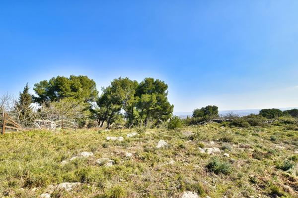 Terrain Naturel avec Vue Imprenable sur le Pic Saint-Loup