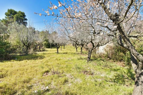 Terrain Naturel avec Vue Imprenable sur le Pic Saint-Loup