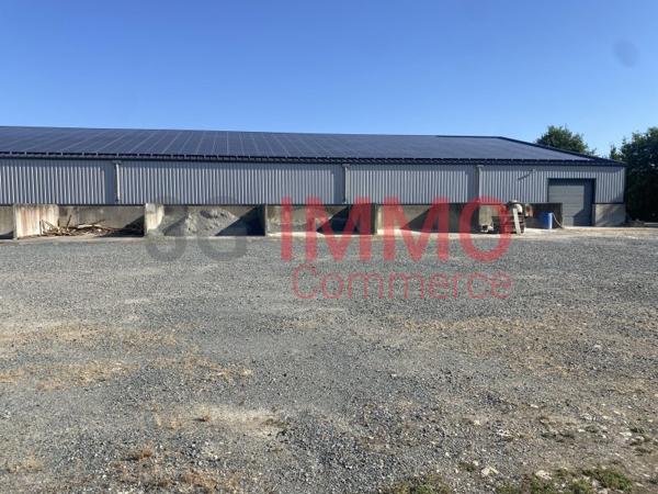 Vente murs / Local Industriel / Bâtiment