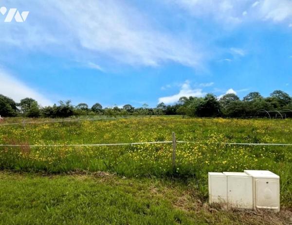 TREILLIERES, terrain à bâtir de 522m²