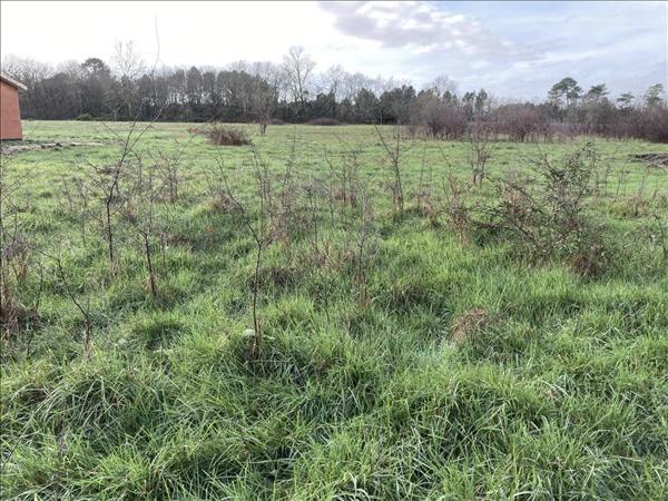 Terrain à vendre |  Léognan |  1012 m²