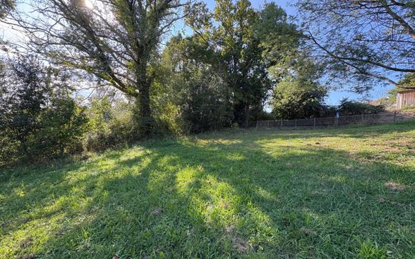 Terrain à vendre    Halsou