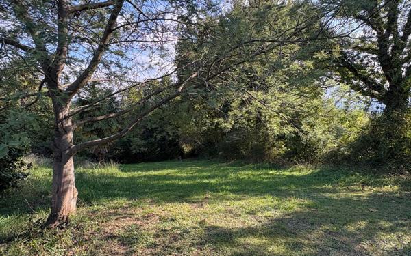 Terrain à vendre    Halsou