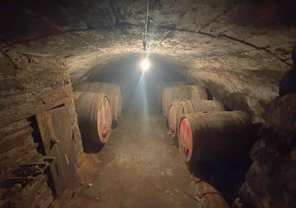 Maison de maître avec jardin et vastes dépendances