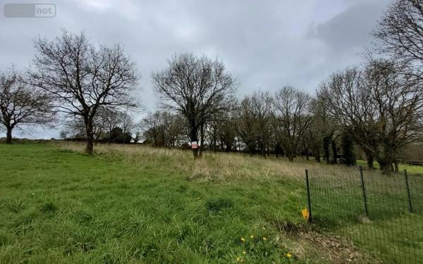 Achat - Terrain à bâtir Carhaix-Plouguer 29270 2278 m 2