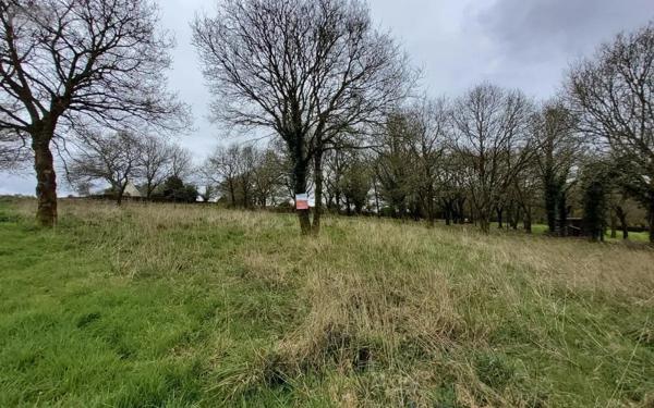 Achat - Terrain à bâtir Carhaix-Plouguer 29270 2278 m 2