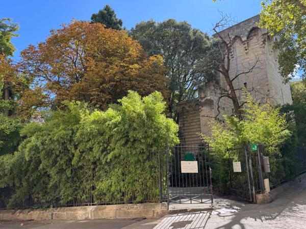 Appartement à vendre 2 pièces STLYE LOFT RENOVE MONTPELLIER CENTRE HISTORIQUE