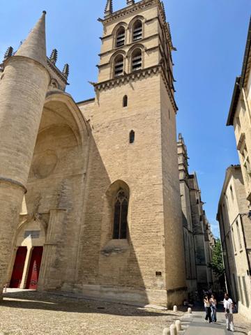 Appartement à vendre 2 pièces STLYE LOFT RENOVE MONTPELLIER CENTRE HISTORIQUE