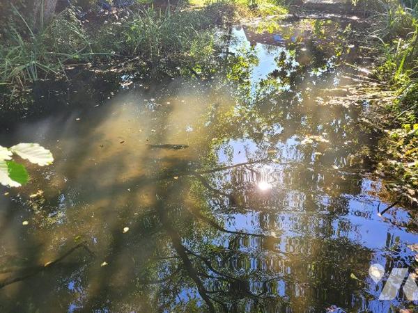 LONGERE ENVIRONNEMENT BUCOLIQUE