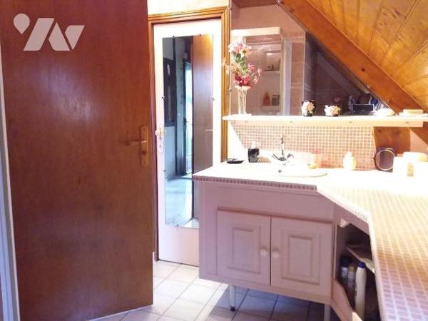 GRAND PAVILLON DE CONSTRUCTION ARTISANALE AU C?UR DE LA VALLÉE DU CHER.  VOISIN DU ZOO DE BEAUV...