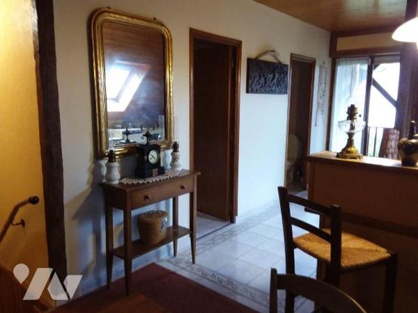 GRAND PAVILLON DE CONSTRUCTION ARTISANALE AU C?UR DE LA VALLÉE DU CHER.  VOISIN DU ZOO DE BEAUV...