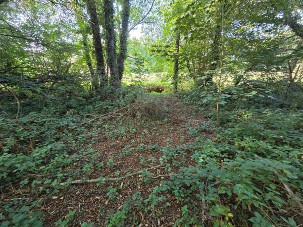 Achat - Maison Saint-Aubin-Fosse-Louvain 53120 4 pièces 107 m 2 3640 m 2