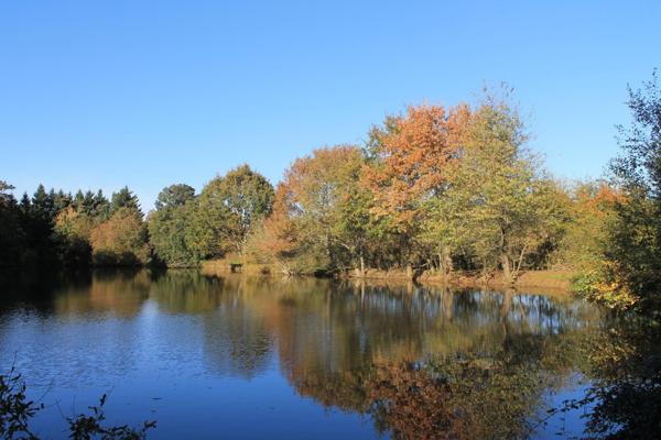 4 Etangs de pêche - Maison renovée - dépendances