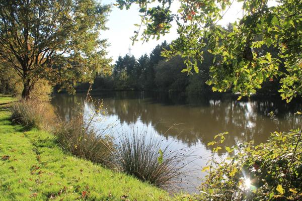 4 Etangs de pêche - Maison renovée - dépendances