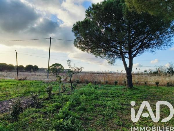 Maison à vendre 13 pièces 280 m² Saint-Laurent-d'Aigouze