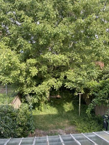 Rue de l'Arche, agréable maison de ville beau jardin!