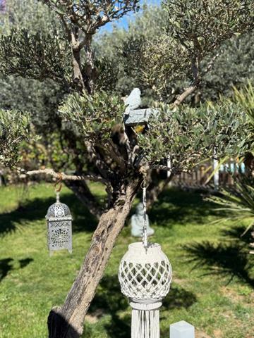 Maison à vendre 4 pièces TARBES (65) - Jardin arboré - piscine