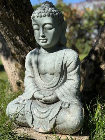 Maison à vendre 4 pièces TARBES (65) - Jardin arboré - piscine