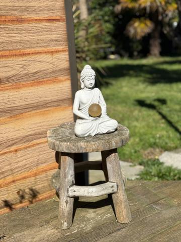 Maison à vendre 4 pièces TARBES (65) - Jardin arboré - piscine