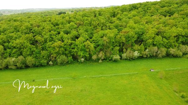 Caussade (82300) Domaine équestre ou agricole de 30 hectares en Occitanie