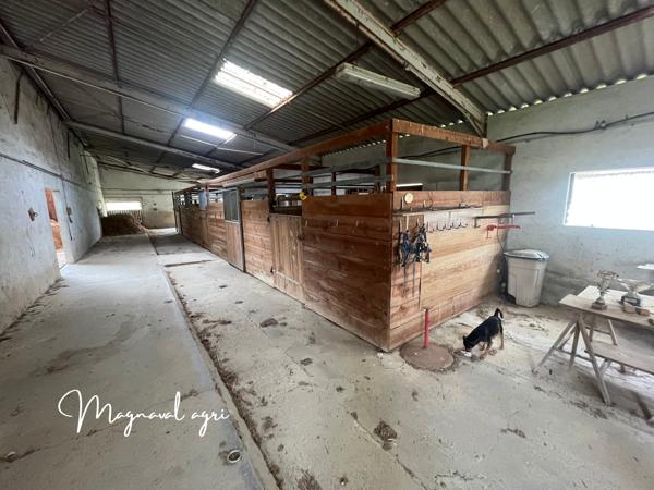 Caussade (82300) Domaine équestre ou agricole de 30 hectares en Occitanie