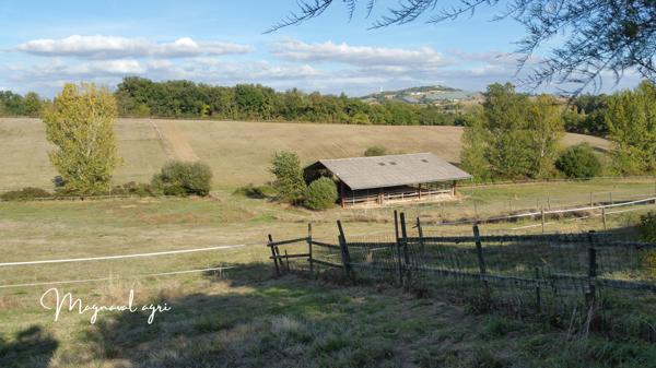 Caussade (82300) Domaine équestre ou agricole de 30 hectares en Occitanie