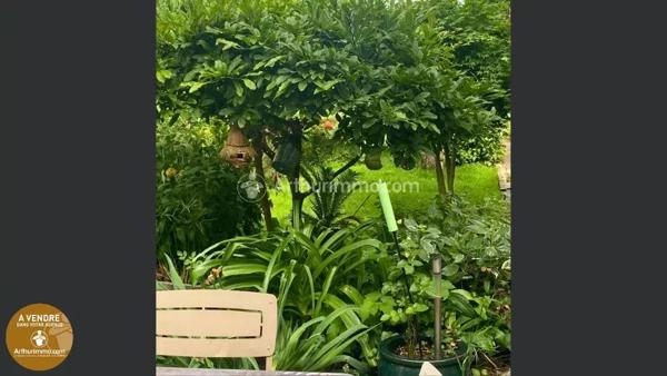 Vente Maison de ville 5 pièces 125 m2 à Mazamet