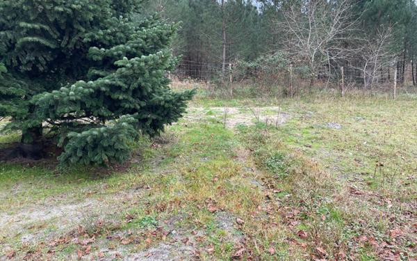 Maison à vendre    5 pièces •  Labouheyre