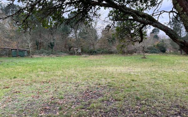 Maison à vendre    5 pièces •  Labouheyre