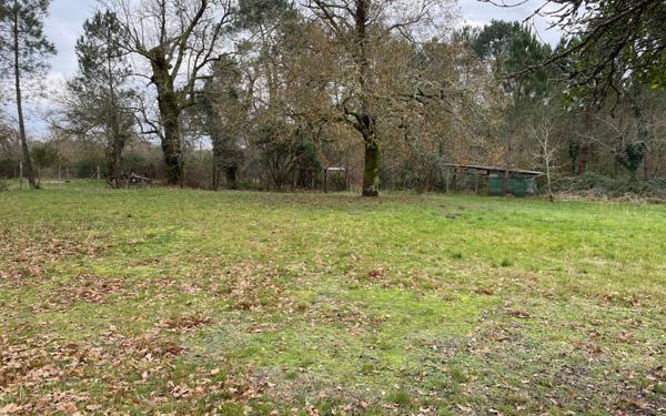 Maison à vendre    5 pièces •  Labouheyre