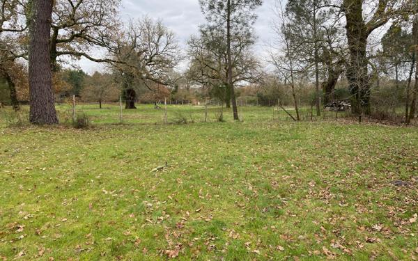 Maison à vendre    5 pièces •  Labouheyre