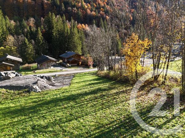 Terrain à vendre  1071 m2 MONTRIOND - 74