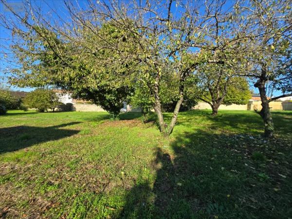 Achat - Terrain à bâtir Poitiers 86000 1176 m 2